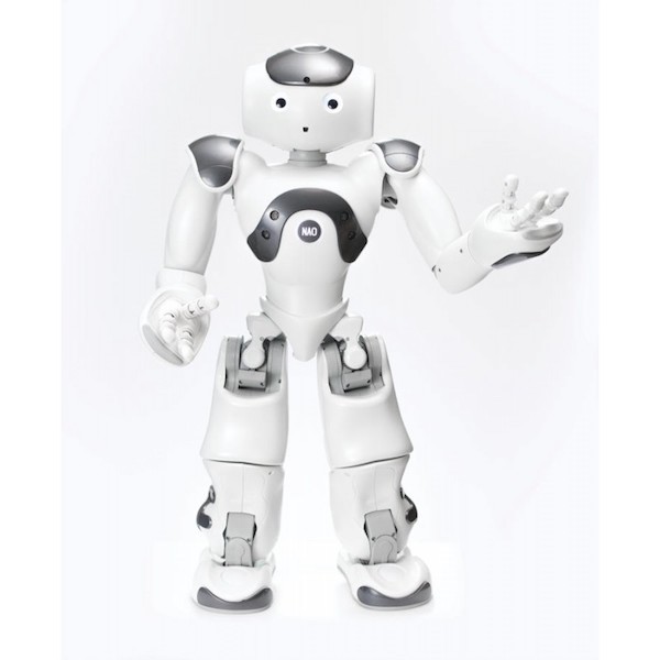 programmable-humanoid-robot-nao-v6 (1)