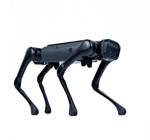 aliengo-robot-dog-quadruped-robot
