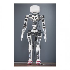 robot-poppy-humanoid-version-raspberry-sans-impressions-3d